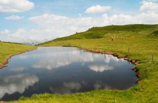 Farm holidays Cone da Val - San Vigilio di Marebbe 7