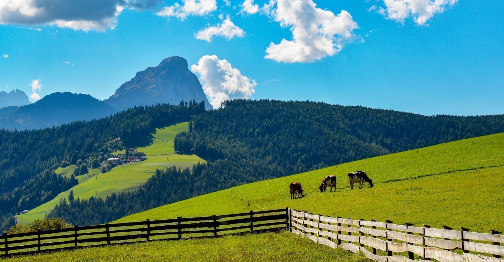 bauernhofurlaub-in-den-dolomiten