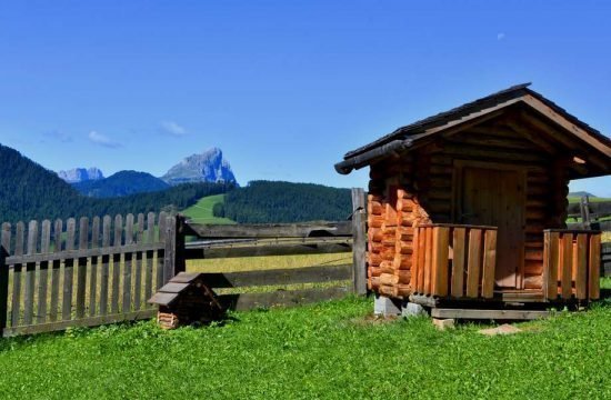 Cone da Val - San Vigilio di Marebbe / Alto Adige 19