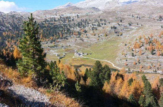 Cone da Val - San Vigilio di Marebbe / Alto Adige 25