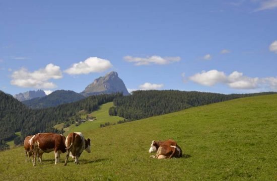 cone-da-val-st-vigil-enneberg-suedtirol (38)