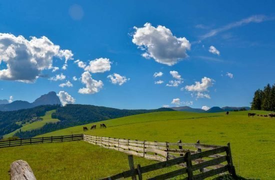 Cone da Val - San Vigilio di Marebbe / South Tyrol 03