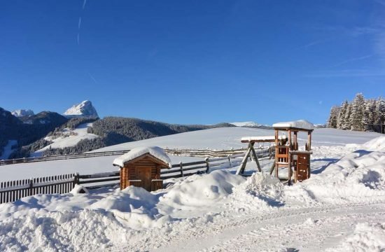 Winter holidays at Plan de Corones - South Tyrol